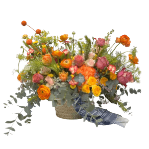 cabasset-natural-fallas
