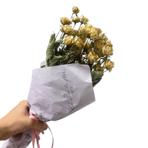 rosas-pitimini-beige