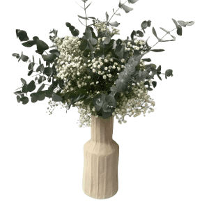 Jarron-eucalipto-paniculata